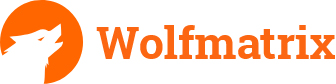 Unique Web solutions For Your Business | Wolfmatrix