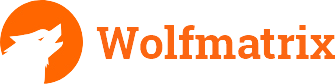 Unique Web solutions For Your Business | Wolfmatrix