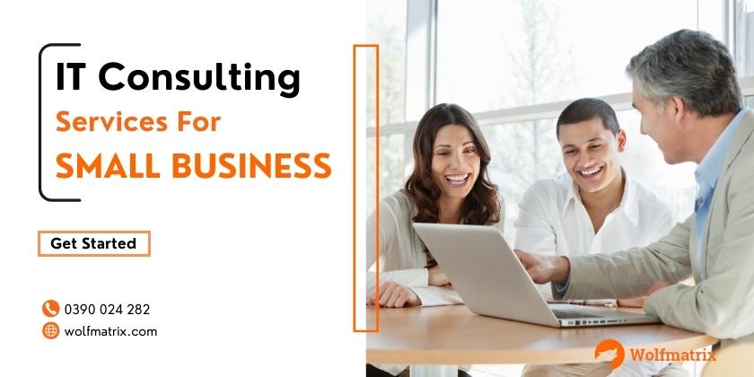 IT Consulting Services for Small Business