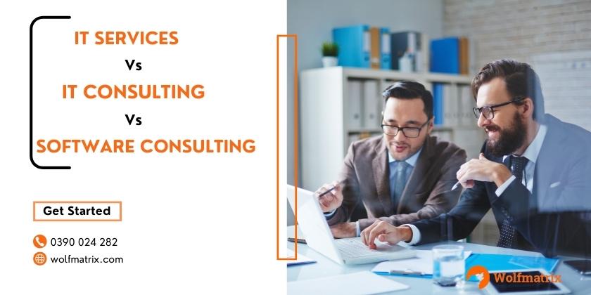 What is the difference between IT Services, IT Consulting and Software Consulting?